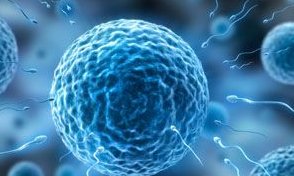 2026年国内三代试管孩子医院排名哪家强？