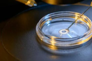 试管哪家医院试管能成功？费用、成功率与服务全方位对比