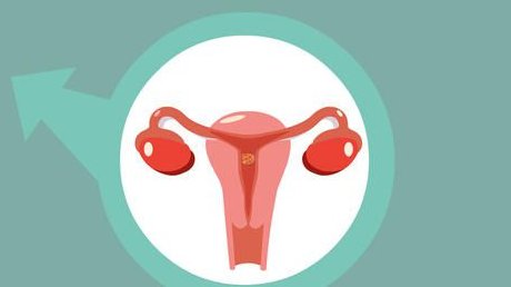 2026年没有精子去安顺做三代试管要多少钱？无精试管费用