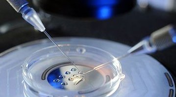 在北京做三代试管婴儿要多少钱啊？专家解读做第三代试管要准备多少钱？