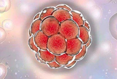 2026年从绍兴到海外做试管自由行的详细花费介绍，费用成本是多少？