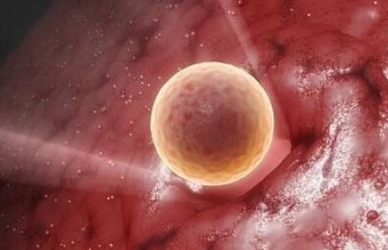 天津三代试管私立医院哪家好？2026年天津三代试管私立医院推荐